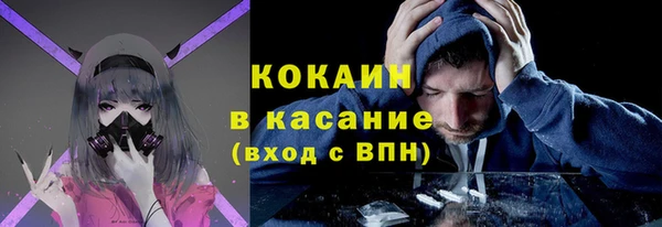шишки Баксан