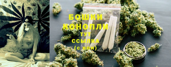 шишки Баксан