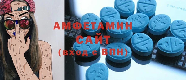 шишки Баксан