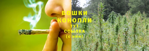 шишки Баксан