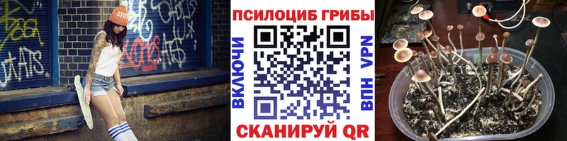 Псилоцибиновые грибы Magic Shrooms  ссылка на мегу ONION  Ливны 